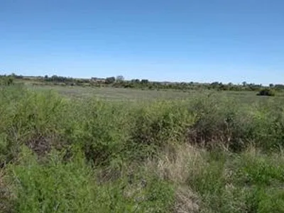 Farm For Sale in Koppies - PbLf.webp