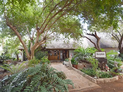 Farm For Sale in Tom Burke - AvOX.webp