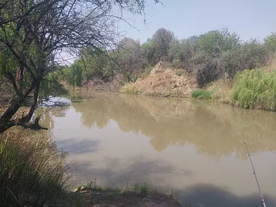 Vacant Land For Sale in Koppies - 5FvR.webp