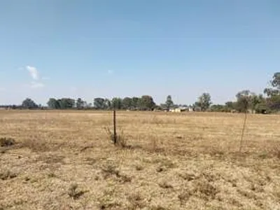 House For Sale in Koppies - SVnS.webp