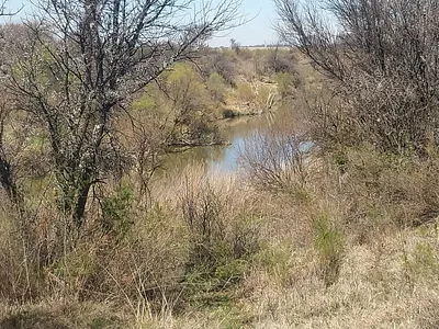 Farm For Sale in Koppies - iFdd.webp