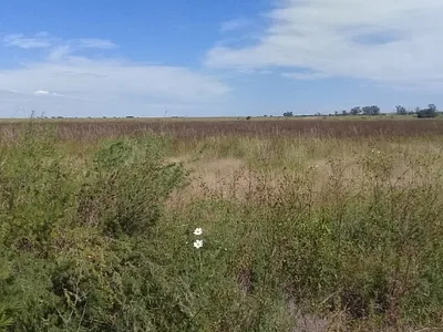 Farm For Sale in Koppies - Jx7o.webp