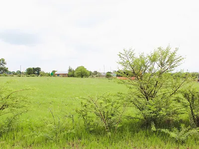 Vacant Land For Sale in Oranjeville - u8qH.webp