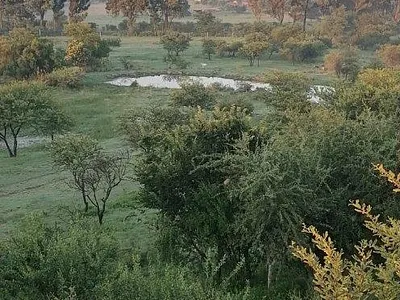 Farm For Sale in Koppies - Evua.webp