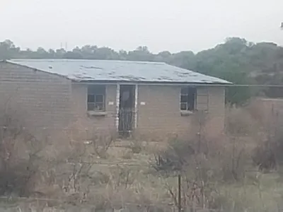 House For Sale in Koppies - X4et.webp