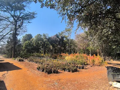 Farm For Sale in Centurion - UYVb.webp