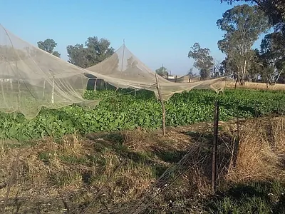 Farm For Sale in Koppies - nwr5.webp