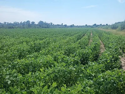 Farm For Sale in Koppies - x9L5.webp