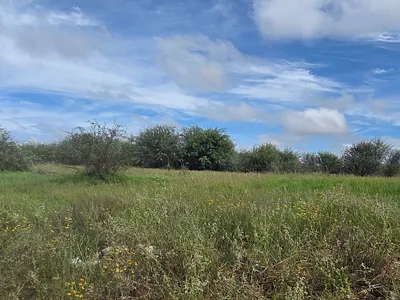 Vacant Land For Sale in Ritchie - cbEg.webp