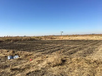 Farm For Sale in Koppies - rrOe.webp