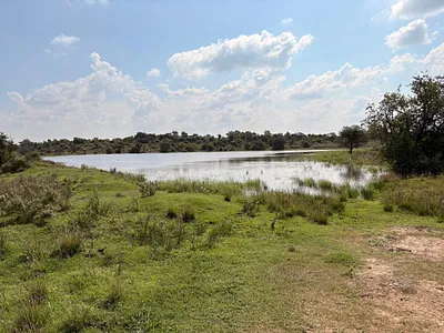 House For Sale in Koppies - ctx7.webp