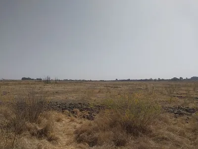 Farm For Sale in Koppies - I9Zb.webp