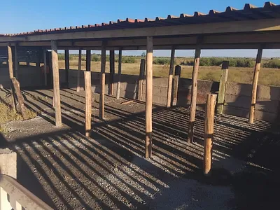 1 Bedroom House For Sale in Koppies - IgMG.webp