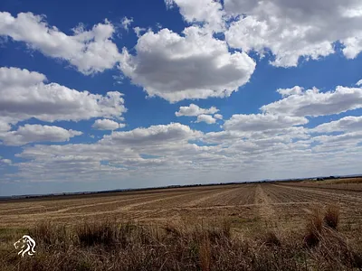 Farm For Sale in Koppies - 9S5H.webp