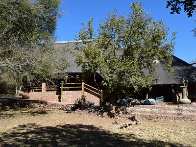 3 Bedroom House For Sale in Lephalale - img