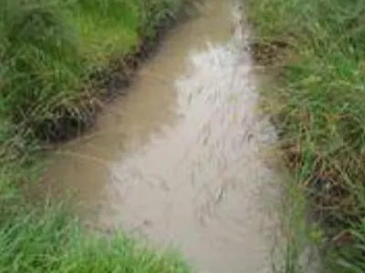 Farm For Sale in Koppies - U7ZQ.webp