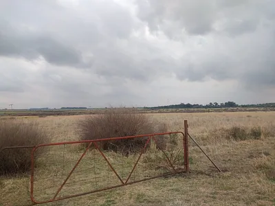 House For Sale in Koppies - E0ko.webp