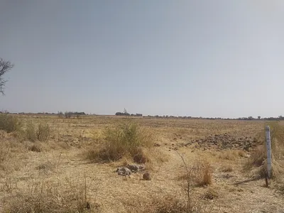 Farm For Sale in Koppies - Ymmm.webp