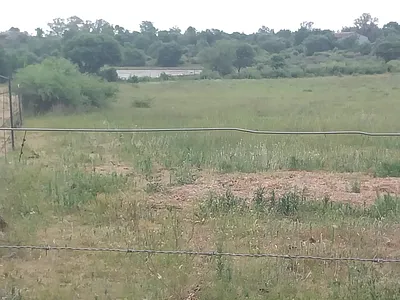 House For Sale in Koppies - MqZV.webp