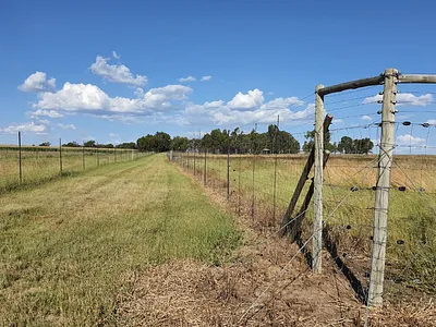 Farm For Sale in Vredefort - RU2R.webp