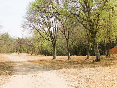 Vacant Land For Sale in Parys - 7uDG.webp