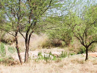 Vacant Land For Sale in Parys - v9bv.webp