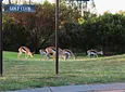 Carousel Indicator - c6J1.webp