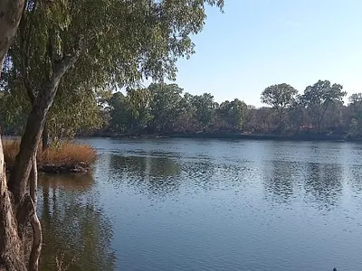 Farm For Sale in Parys - 7y79.webp