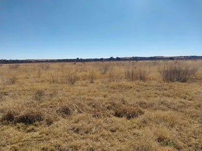 Farm For Sale in Koppies - UgFO.webp