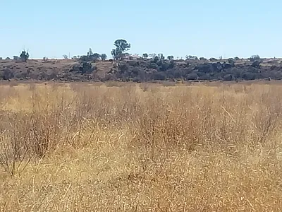 Farm For Sale in Koppies - wmsf.webp