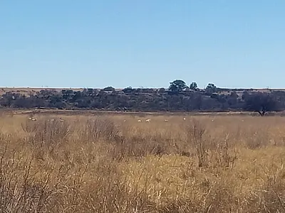 Farm For Sale in Koppies - ontu.webp