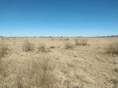 Farm For Sale in Koppies - cwrp.webp