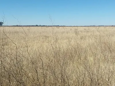 Farm For Sale in Koppies - 2T6z.webp