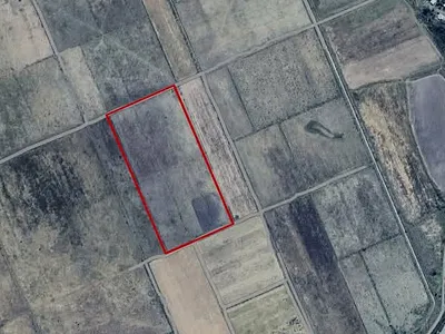 Farm For Sale in Koppies - Q1zT.webp