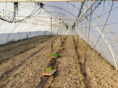 Farm For Sale in Hopefield - 6v8z.webp