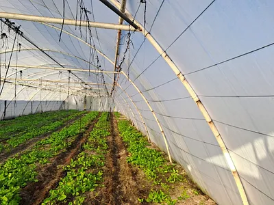 Farm For Sale in Hopefield - OWaX.webp