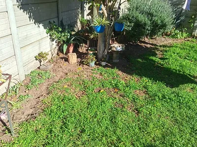 1 Bedroom Apartment To Rent in Bredasdorp - 66jg.webp