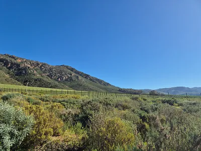 Vacant Land For Sale in Piketberg - mI1S.webp