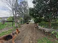 Carousel Indicator - mQij.webp