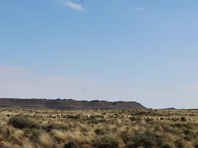 Farm For Sale in Victoria West - LVRC.webp