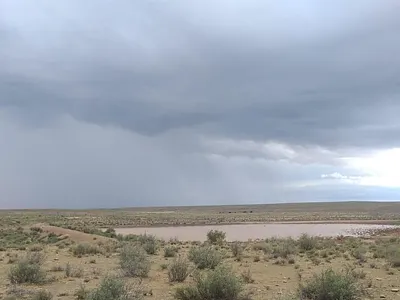 Farm For Sale in Williston Rural, Williston - as3N.webp