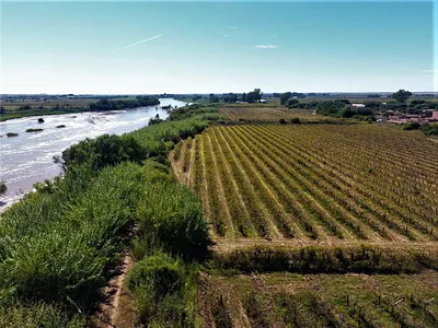 Farm For Sale in Kanoneiland, Keimoes - QSlR.webp