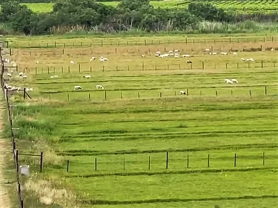 Farm For Sale in Kakamas - 3ZnE.webp