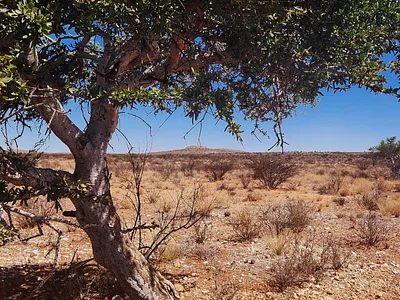 Farm For Sale in Groblershoop - 0xaS.webp