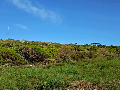Vacant Land For Sale in Agulhas - oRlX.webp