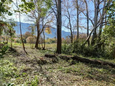Vacant Land For Sale in Caledon - 8RGW.webp