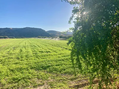 Vacant Land For Sale in Graaff-Reinet - zcOg.webp