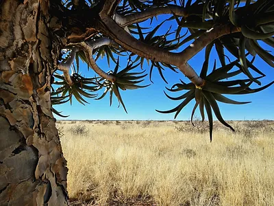 Farm For Sale in Upington - JKWm.webp