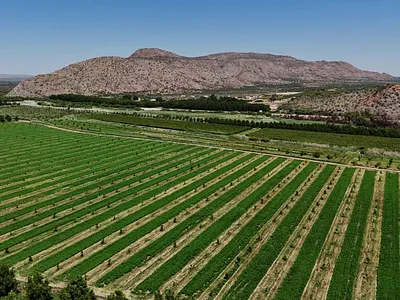 Farm For Sale in Groblershoop - Z2Qq.webp