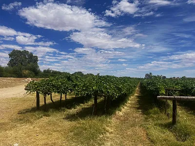 Farm For Sale in Groblershoop - oxSU.webp